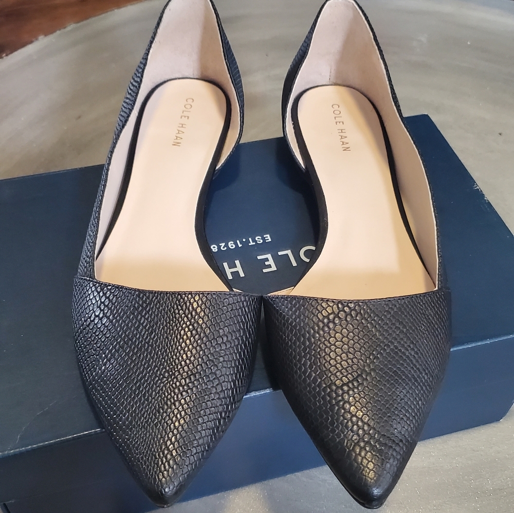 Cole Haan Bambra Skimmer flats